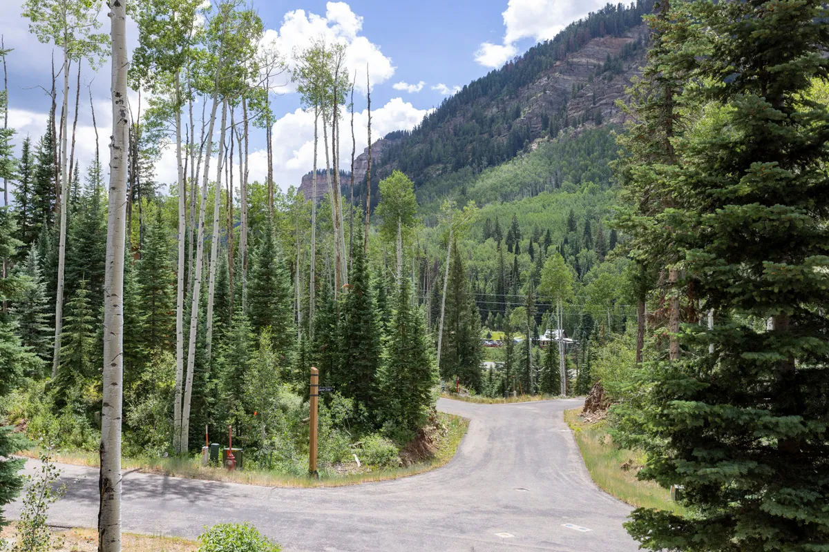 A tranquil mountain scene with tall aspen trees lining a gently curving road, set against a majestic mountain backdrop. The aspens glow golden, evoking the iconic look of fall in the Rockies, while the road hints at scenic drives and outdoor exploration.